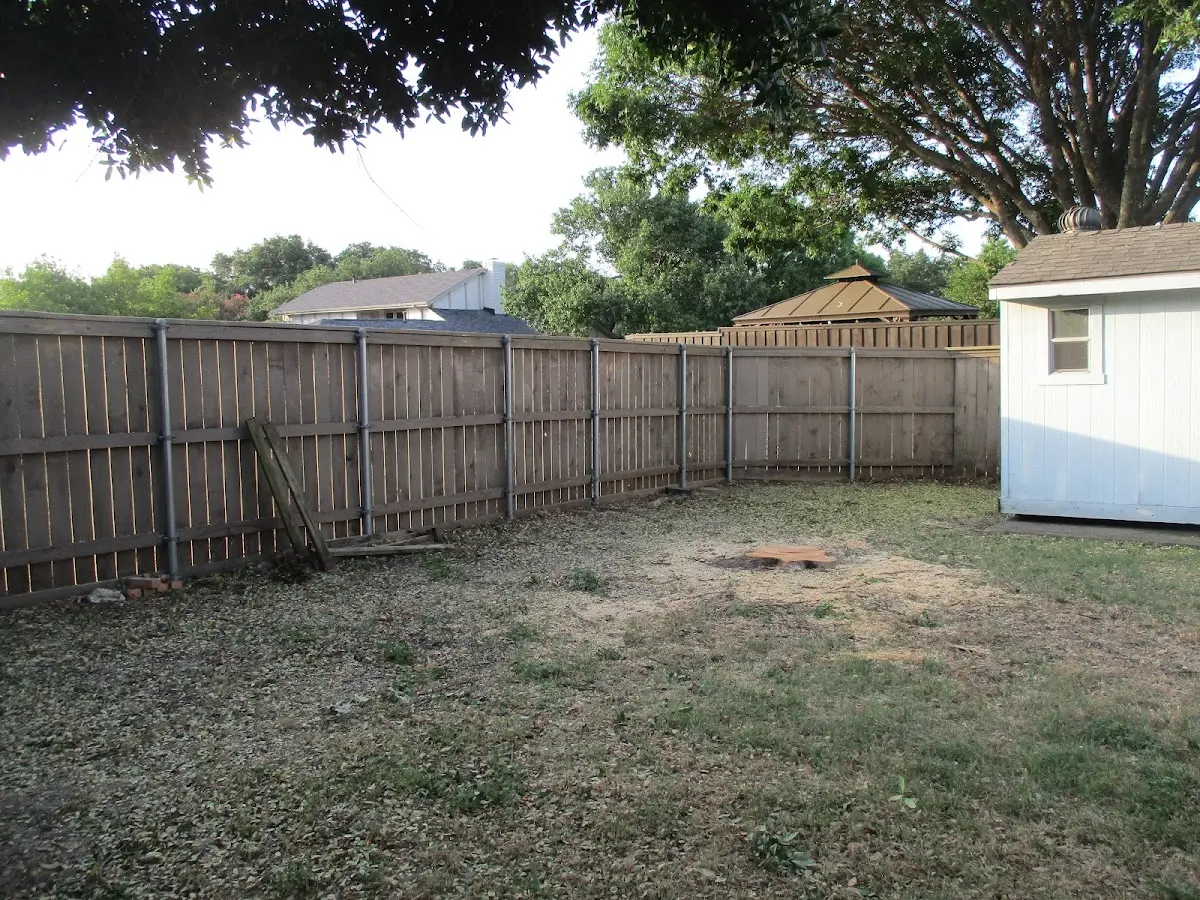 Cleared yard after professional tree removal in London Mills